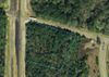 Bypass 319 @ Cairo Rd photo